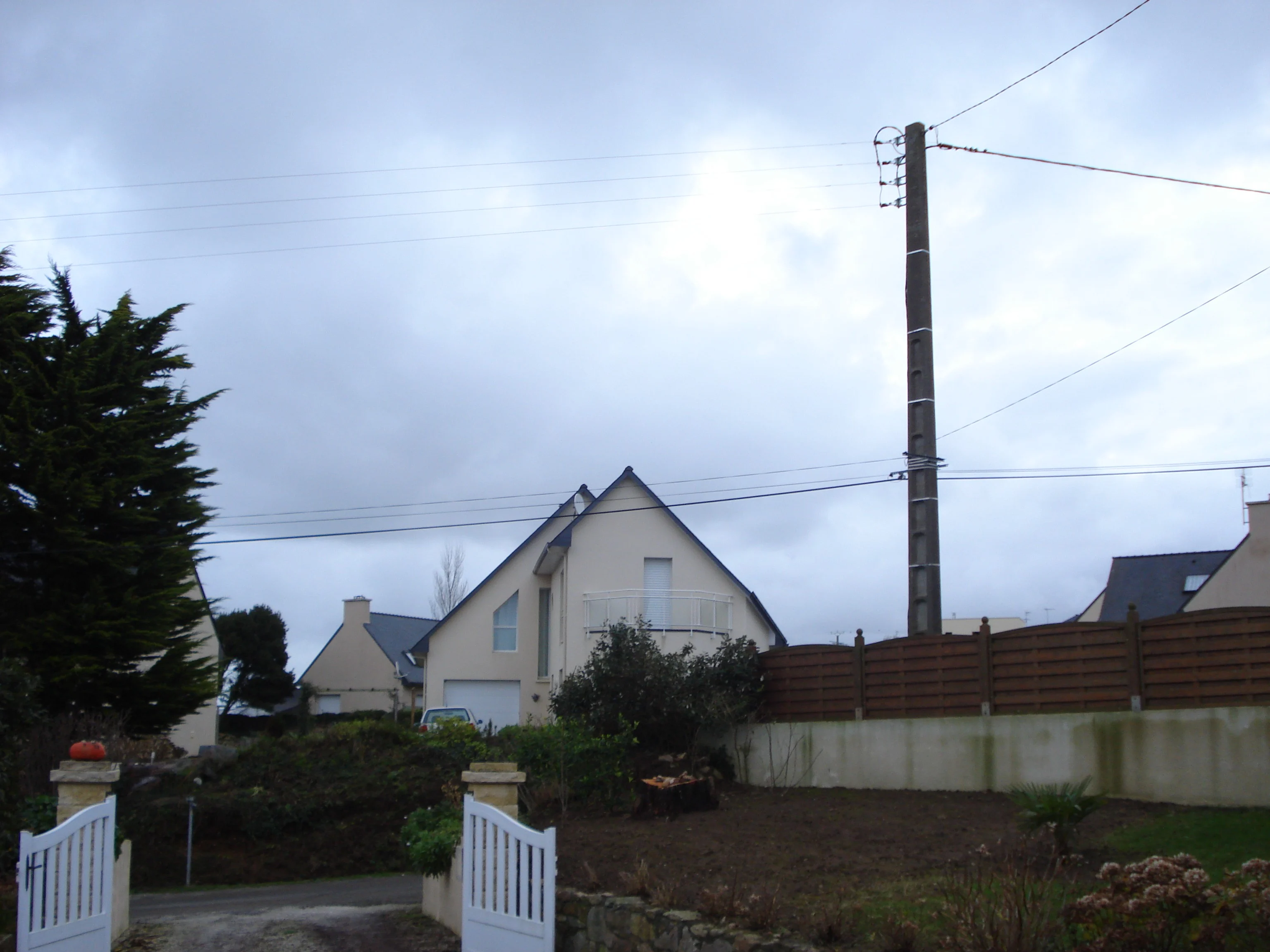 Abattage Thuya Perros-Guirec 22700