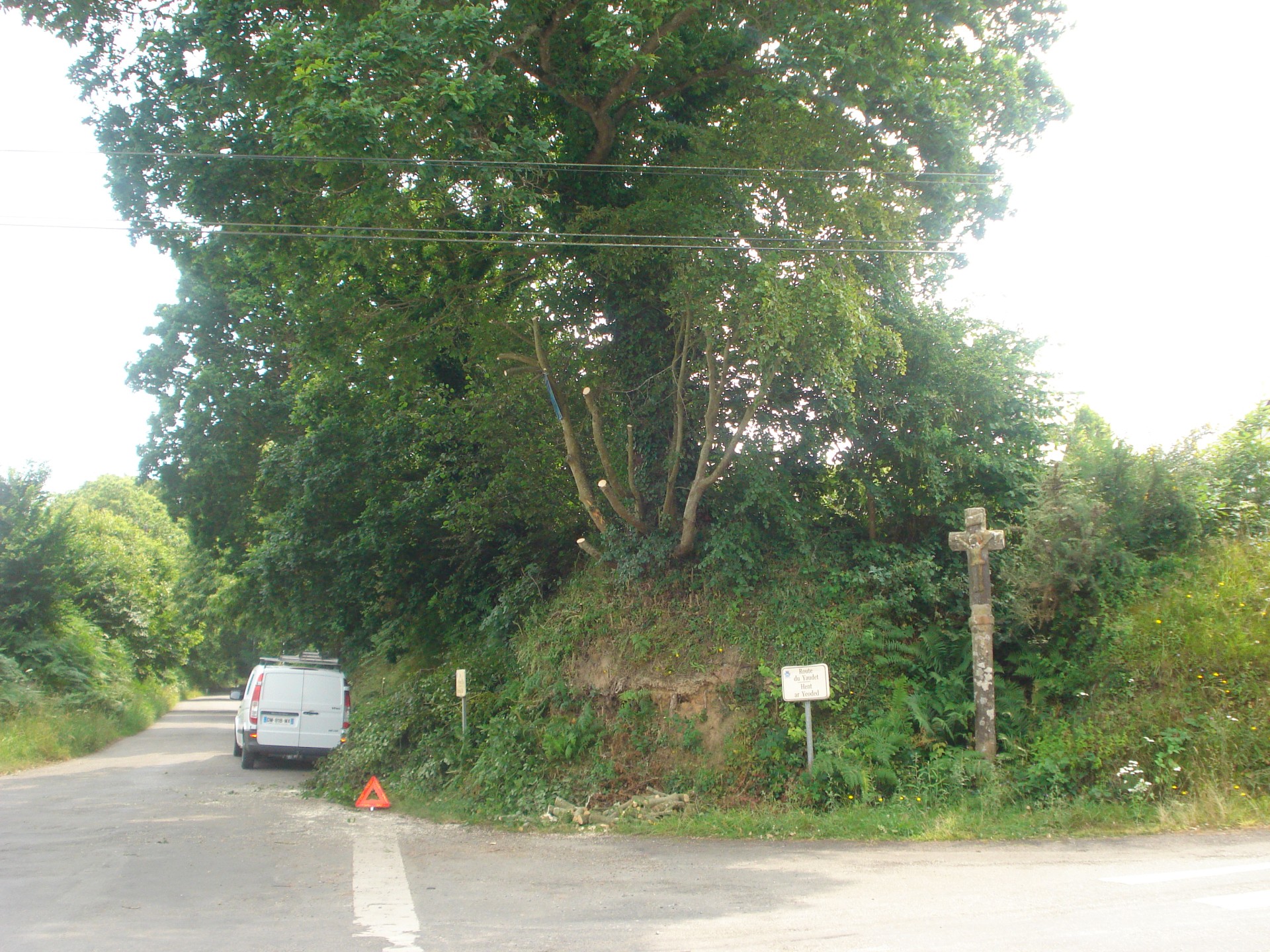 élagage loguivy les lannion